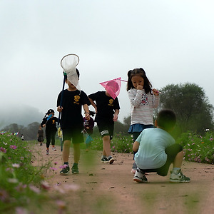 가을들녁1910-2