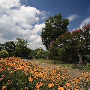 진주수목원여름1908-1