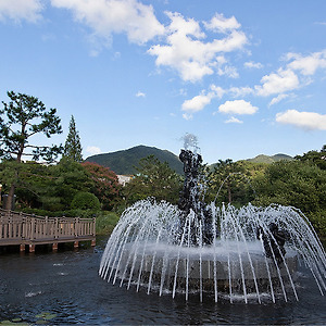 호수소경