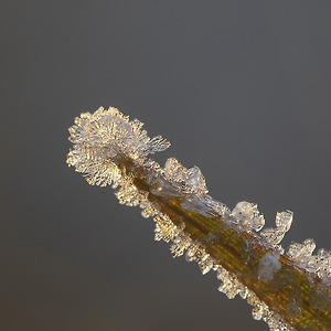 작은세계(서리)2012-2