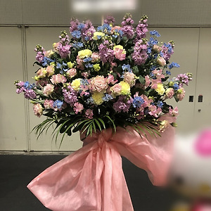 190325 케야키자카46 2기생 블로그-후지요시 카린