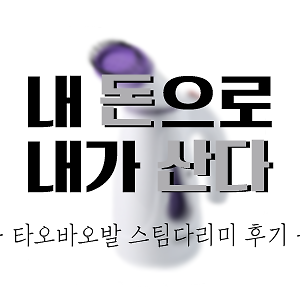 [내돈내산] 타오바오 핸디스팀다리미 직구 후기 (+ 전기플러그 교체하는 법)