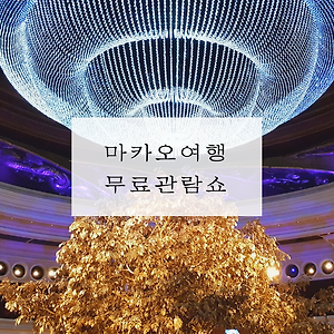 마카오 핫플레이스 무료 호텔 쇼 정보 (ft.윈 마카오)