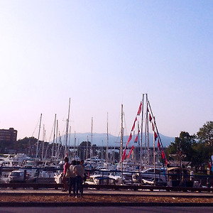 조이랑 스테포스, 그랜빌 아일랜드, 치즈케이크etc