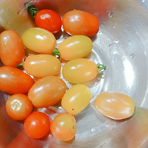 토마토, 대추방울토마토, 호박 첫 수확