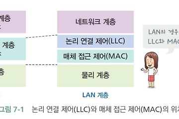 [네트워크] LAN의 특징과 규격