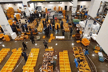 [Noryangjin Fish Market Guide] – Special Occasion tips - Lobster, snowcrab and king crab auction tips, Japanese Amberjack season, Brown Croaker Season, Best season to visit fish markets Winter