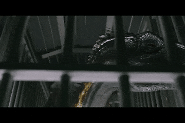 [Jurassic World – Fallen Kingdom] – Indoraptor, Scorpios Rex, Dr. Henry Wu, DNA Recovery from the Indominus Rex skeleton