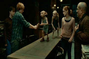 [Harry Potter] – Harry Potter and the Deathly Hallows - Summary Part 5 - Kreacher's loyalty to Harry Potter, Regulus Arcturus Black - Identity of R.A.B., Mundungus Fletcher
