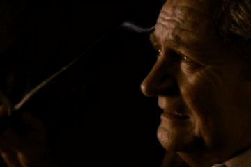 [Harry Potter] – Harry Potter and the Half Blood Prince  - Summary Part 5 - Funeral of Aragog, Horace Slughorn's memory with Voldemort of the Horcrux (Tom Riddle)