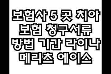 보험사 5 곳 치아보험 청구서류 방법 기간 (라이나, 메리츠, 에이스 등)
