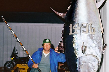 Overview of Bluefin Tuna and Honmaguro - Atlantic Bluefin Tuna, Pacific Bluefin Tuna – Differences between the bluefin tuna, Heaviest and most expensive bluefin tuna recorded