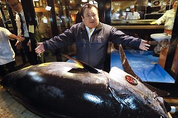 참치 참다랑어의 무게와 나이에 따른 분류, 가마도로, 1번도로, 2번 도로 등의 분류, 가장 비싸게 낙찰 된 참치 - 기요시 키무라와 이치방 마구로의 이야기