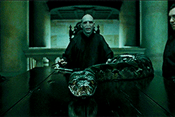 [Harry Potter] – Harry Potter and the Deathly Hallows - Summary Part 2 - Lucius Malfoy's wand, Malfoy Manor, Charit Burbage and Snatchers