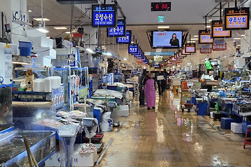 [Noryangjin Fish Market Guide] – Introduction, Operating Hours, Orange Sign 패류, Blue Sign 활어, Green Sign 선어 stores Explained