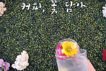 [대전 분위기카페] 커피, 꽃 담아! 신기한 곳! 예쁜 곳!