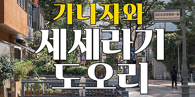 가나자와여행 - 세세라기 도오리, 알고가자!(400년된 용수로)