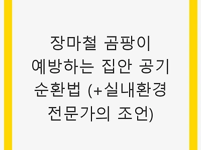 장마철 곰팡이 예방하는 집안 공기 순환법 (+실내환경 전문가의 조언)