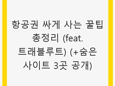 항공권 싸게 사는 꿀팁 총정리 (feat. 트래블루트) (+숨은 사이트 3곳 공개)