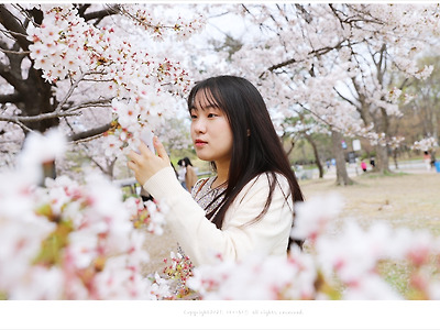 올림픽공원 몽촌토성 벚꽃 인물사진 - 서연