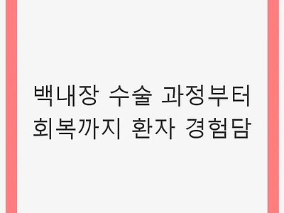 백내장 수술 과정부터 회복까지 환자 경험담 - 시력 회복의 여정