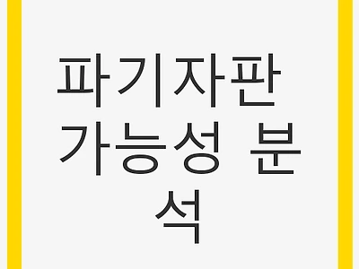 파기자판 가능성 분석: 법조계의 시각과 정치적 영향