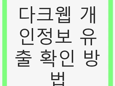 다크웹 개인정보 유출 확인 방법 - 안전한 인터넷 이용을 위한 필수 가이드