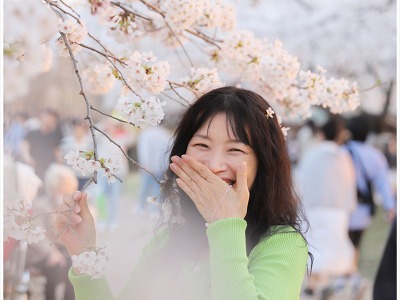 일산 호수공원 벚꽃, 벚꽃 향기에 취했던 날