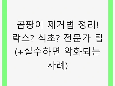 곰팡이 제거법 정리! 락스? 식초? 전문가 팁 (+실수하면 악화되는 사례)