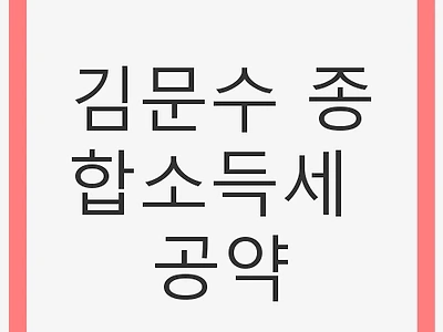 김문수 종합소득세 공약: 세제 개혁과 국민의 소득 증대