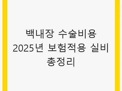 백내장 수술비용 2025년 보험적용 실비 총정리 - 최신 정보와 팁