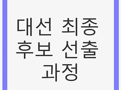 대선 최종 후보 선출 과정: 보수 정치의 미래
