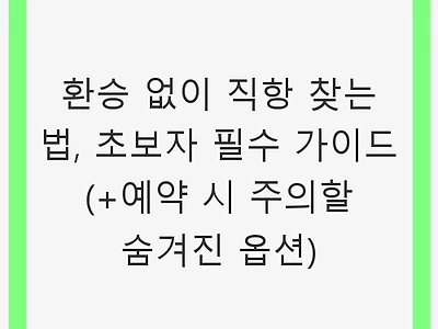 환승 없이 직항 찾는 법, 초보자 필수 가이드 (+예약 시 주의할 숨겨진 옵션)