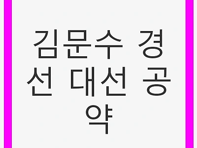 김문수 경선 대선 공약: 중산층을 위한 혁신
