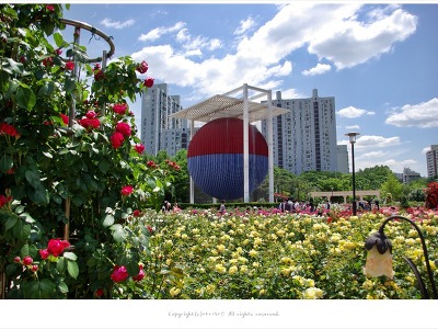 올림픽공원 장미축제 장미광장 도심속 장미꽃 향기