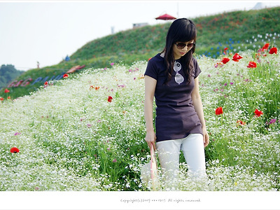 파주 돌곶이 꽃마을 - 안개꽃과 양귀비 꽃밭에서/권선미