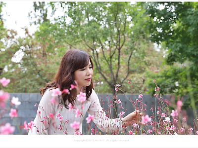 분홍가우라(나비바늘꽃), 구절초 꽃밭에서 - 일산호수공원 #7