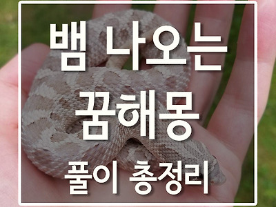 썸네일