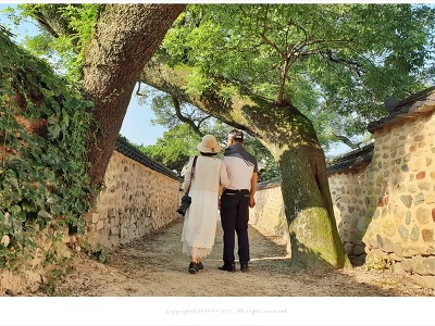 경남 산청 남사예담촌 #3, 왕이된남자 촬영지 부부회화나무