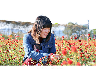 [인물사진] 경주 첨성대 야생화단지 천일홍 꽃밭 - 영원