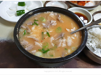 부산 서면 송정삼대국밥, 처음 먹어본 돼지국밥 솔직후기