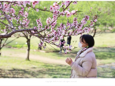 올림픽공원 4월 봄꽃 나들이, 야생화학습장