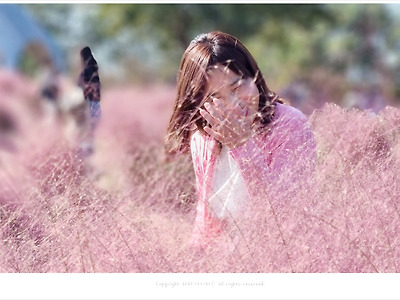 월드컵공원출사, 서울 핑크뮬리 억새 핫스팟 상암 하늘공원