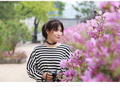 [서울 서촌출사] 산철쭉이 아름다운 사직단에서 인물사진찍기
