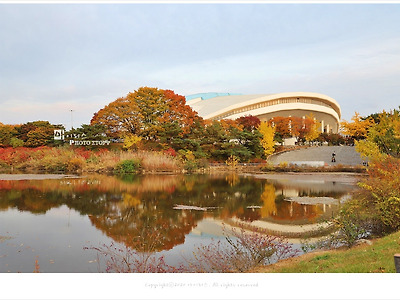 올림픽공원 88호수에서 만난 가을과 아름다운 반영
