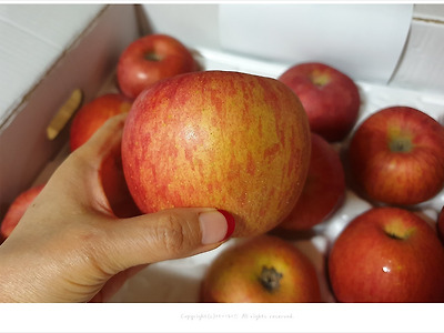 과일 선물세트 황토농원, 안심하고 껍질째 먹는 사과