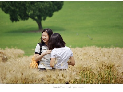 [올림픽공원] 나홀로나무앞 황금보리밭에서 만난 학생들