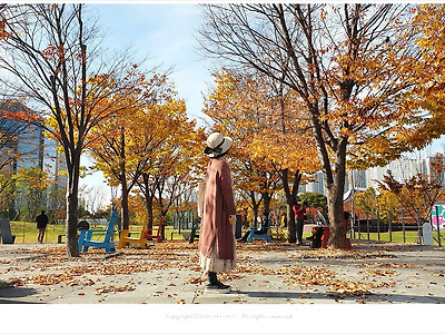올림픽공원 단풍, 소마미술관의 가을풍경 속에 머물다