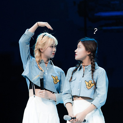 [160723] 베리굿(BerryGood) WAPOP 공연 직찍 (27pic) By SuYa티스토리 툴바