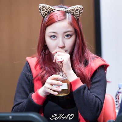 151121 성남 팬싸인회 트와이스③